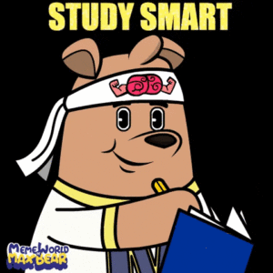 Studying smart for A-levels